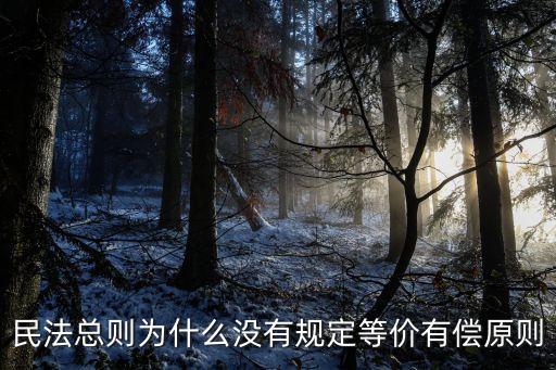 民法總則為什么沒(méi)有規(guī)定等價(jià)有償原則