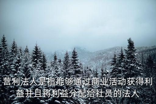 營(yíng)利法人是指能夠通過商業(yè)活動(dòng)獲得利益并且將利益分配給社員的法人