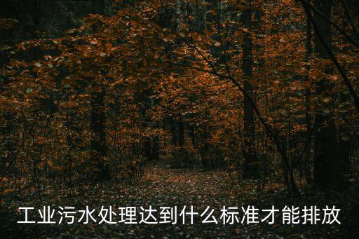 工業(yè)污水處理達(dá)到什么標(biāo)準(zhǔn)才能排放