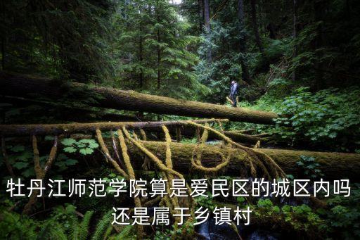 牡丹江師范學院算是愛民區(qū)的城區(qū)內(nèi)嗎 還是屬于鄉(xiāng)鎮(zhèn)村