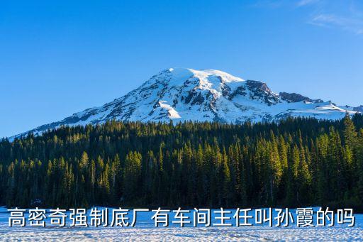 孫霞，高密奇強制底廠有車間主任叫孫霞的嗎