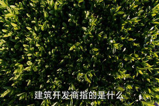 建筑開發(fā)商指的是什么