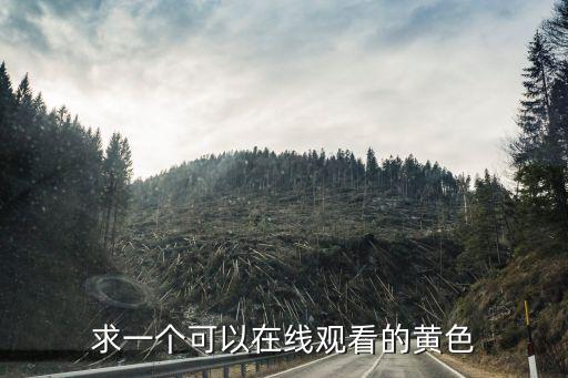 求一個可以在線觀看的黃色