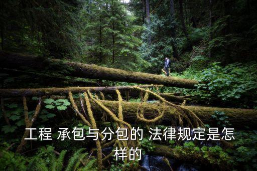 工程承包法律責(zé)任法律規(guī)定,法律規(guī)定十四歲以上的法律責(zé)任