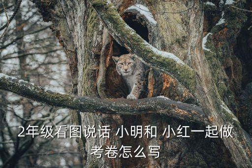 小明和小紅