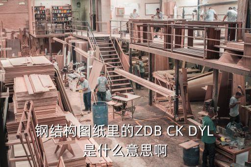 zdb什么意思，ZDB是什么的縮寫 求與眾不同
