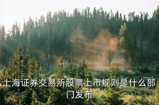 上海證券交易所股票上市規(guī)則是什么部門發(fā)布