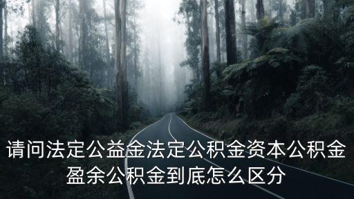 法定公積金，了解下公司法定公積金