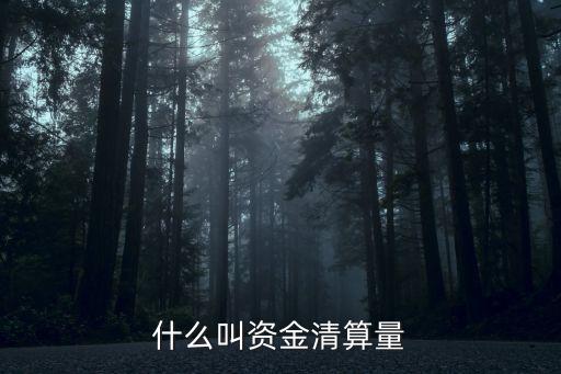 資金清算，什么叫資金清算量