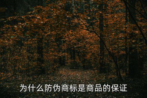 為什么防偽商標(biāo)是商品的保證