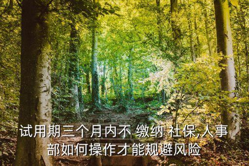 試用期三個月內(nèi)不 繳納 社保,人事部如何操作才能規(guī)避風險
