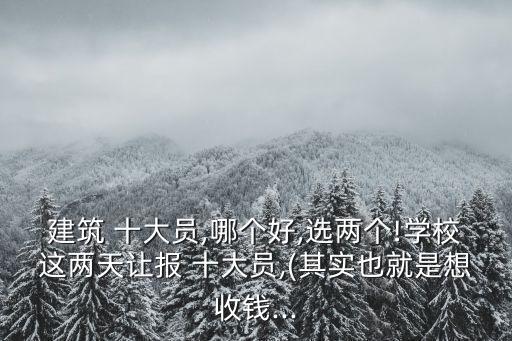 建筑 十大員,哪個好,選兩個!學(xué)校這兩天讓報 十大員,(其實也就是想收錢...