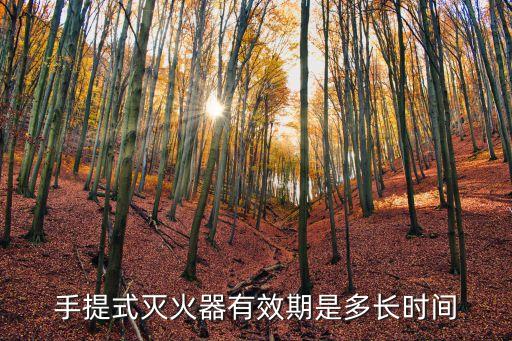 手提式干粉滅火器有效期，手提式干粉滅火器保質多久