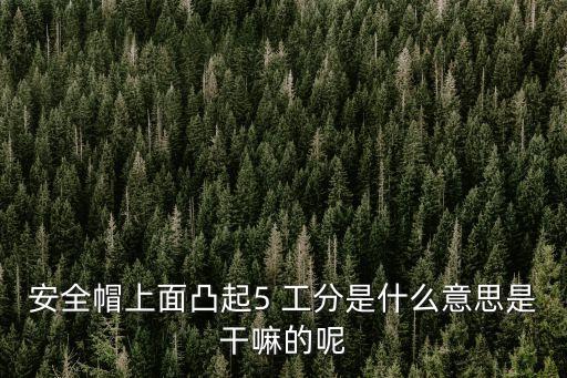 安全帽上面凸起5 工分是什么意思是干嘛的呢
