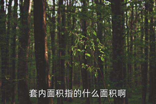 套內(nèi)使用面積，商品房套內(nèi)面積怎樣計算