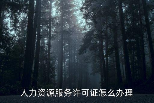 人力資源服務(wù)許可證怎么辦理