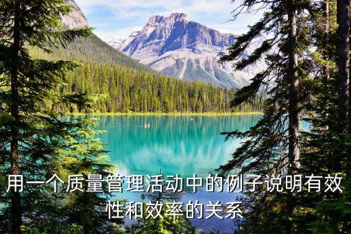 用一個(gè)質(zhì)量管理活動(dòng)中的例子說(shuō)明有效性和效率的關(guān)系