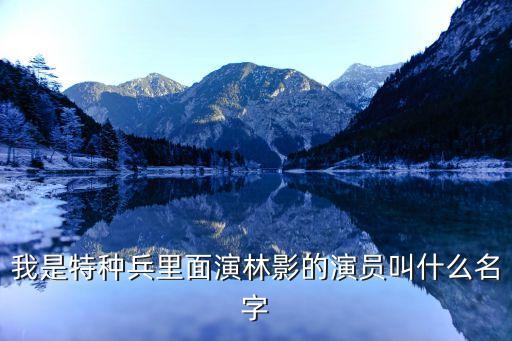 林影，我是特種兵里面演林影的演員叫什么名字
