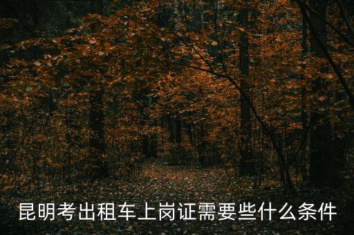 昆明考出租車上崗證需要些什么條件