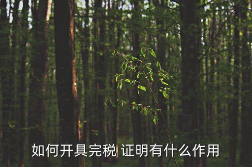 稅收證明,依法繳納稅收證明