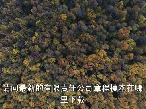 公司章程在哪下載，在上海工商局網(wǎng)站哪個(gè)位置下載公司章程的樣本