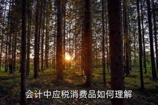 會(huì)計(jì)中應(yīng)稅消費(fèi)品如何理解