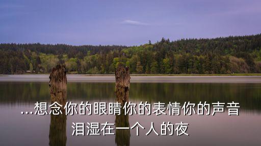 ...想念你的眼睛你的表情你的聲音淚濕在一個人的夜