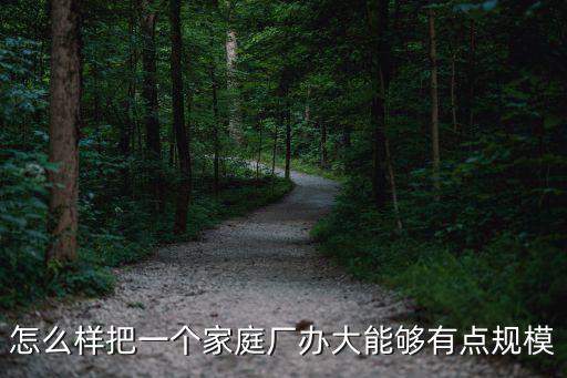 怎么樣把一個(gè)家庭廠辦大能夠有點(diǎn)規(guī)模