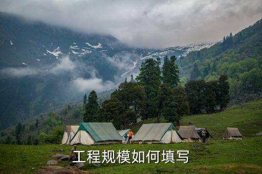 工程規(guī)模怎么填寫(xiě)，工程規(guī)模如何填寫(xiě)