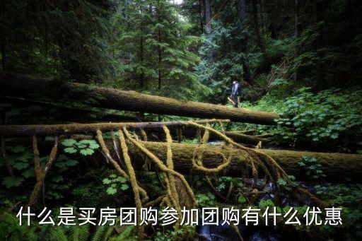 什么是買房團(tuán)購(gòu)參加團(tuán)購(gòu)有什么優(yōu)惠