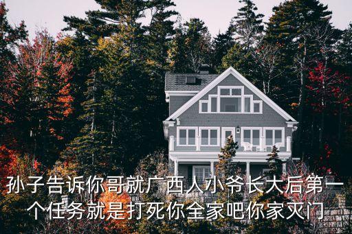 廣西滅門案，孫子告訴你哥就廣西人小爺長(zhǎng)大后第一個(gè)任務(wù)就是打死你全家吧你家滅門