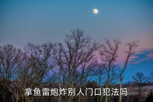 魚雷炮，拿魚雷炮炸別人門口犯法嗎