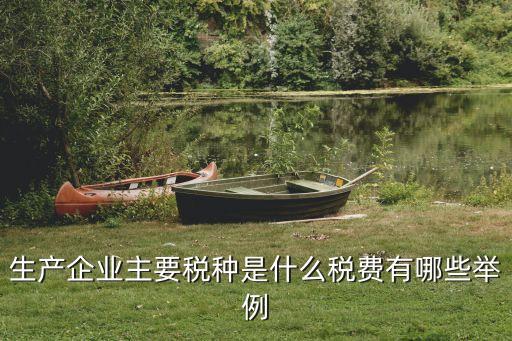 生產(chǎn)企業(yè)主要稅種是什么稅費(fèi)有哪些舉例