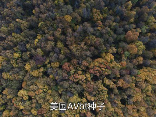 美國(guó)AVbt種子