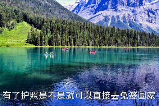免簽國家可以直接去嗎，對我們國家免簽的國家是不是只要買張機(jī)票再只在機(jī)場通過安檢