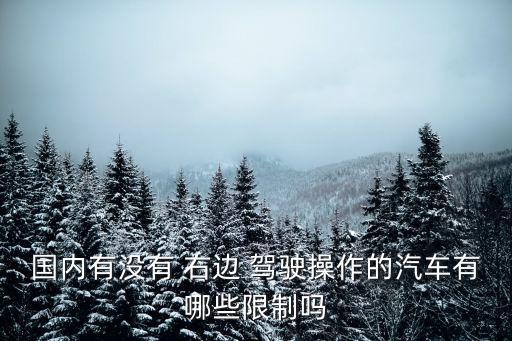 駕駛位在右邊的車,國內(nèi)駕駛位在右邊的車