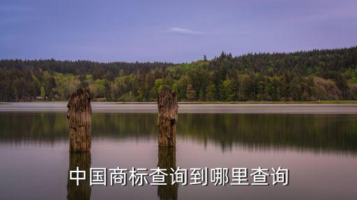 中國商標(biāo)查詢到哪里查詢