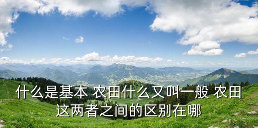 什么的農(nóng)田