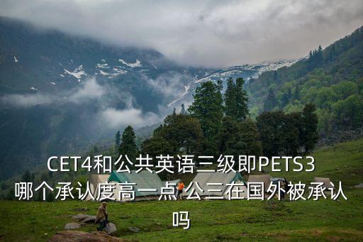 公三