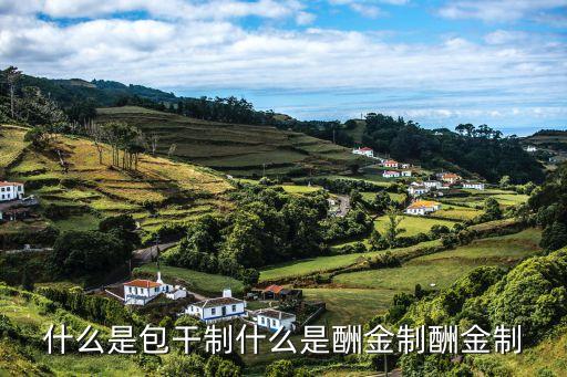 酬金制，什么是包干制什么是酬金制酬金制