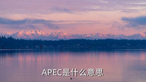 經(jīng)濟合作組織，OECD是什么意思