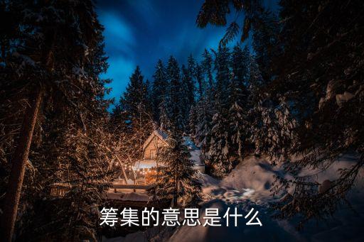 籌集的意思是什么