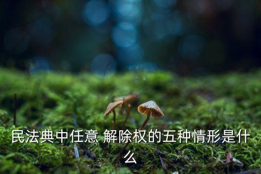 哪些合同享有任意解除權(quán),合同任意解除權(quán)的情形