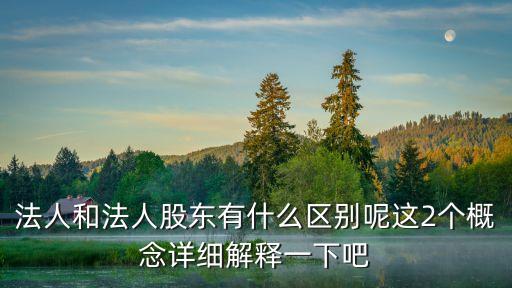 法人和法人股東有什么區(qū)別呢這2個概念詳細解釋一下吧