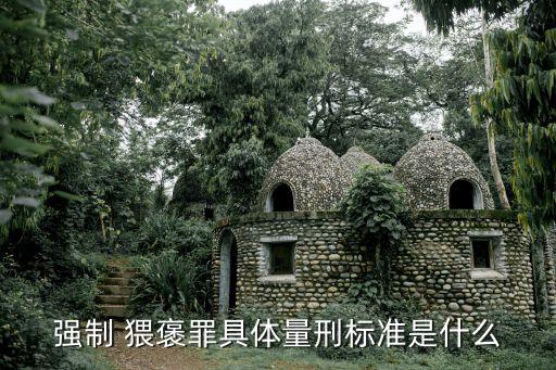 強(qiáng)制 猥褒罪具體量刑標(biāo)準(zhǔn)是什么
