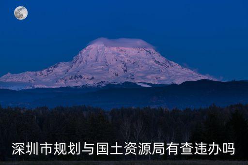 深圳市規(guī)劃與國(guó)土資源局有查違辦嗎