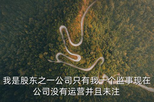 我是股東之一公司只有我一個(gè)監(jiān)事現(xiàn)在公司沒有運(yùn)營并且未注