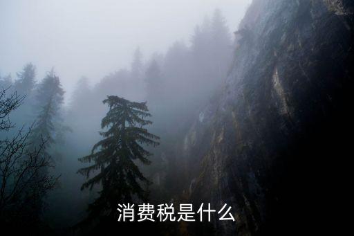 什么是消費(fèi)稅，什么叫消費(fèi)稅