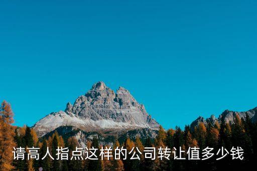 轉(zhuǎn)讓公司多少錢，投資管理公司轉(zhuǎn)讓費用多少