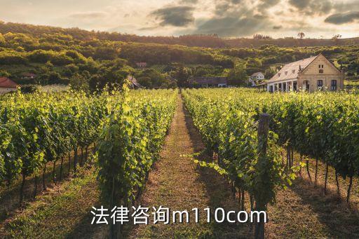 法律服務(wù)網(wǎng)，免費(fèi)律師在線咨詢網(wǎng)